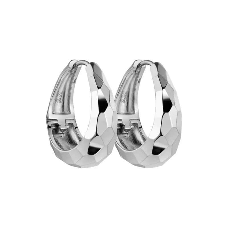 Wear The Silver S925 Silver Earrings Women's-0