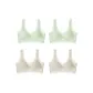 4 Pack Fresh Green 2+Champagne 2