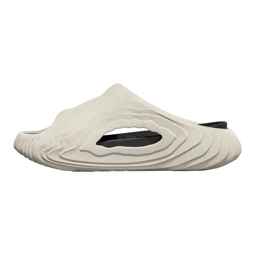 TZLDN Slippers / Home Slippers