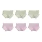 6 Pack (Light Green 3+Light Purple 3)