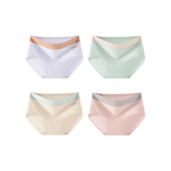 Pretty Lady Underpants Women's 4 Pack