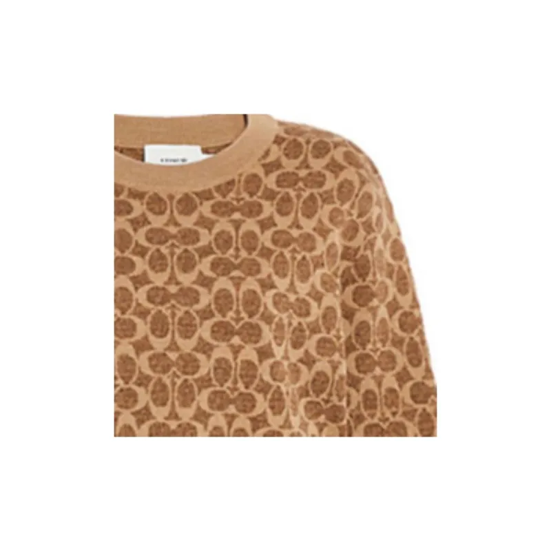 COACH Sweaters Unisex Brown-2