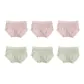 6 Pack (Light Pink 3+Light Green 3)