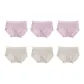 6 Pack (Light Purple 3+Light Gray 3)