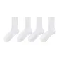 4 White[All-Season Regular Edition]