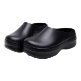 Obsidian Black