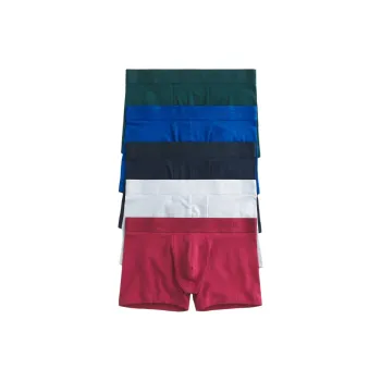 Hollister Underpants Men's 5 Pack