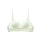 FB26960435 Fresh Green