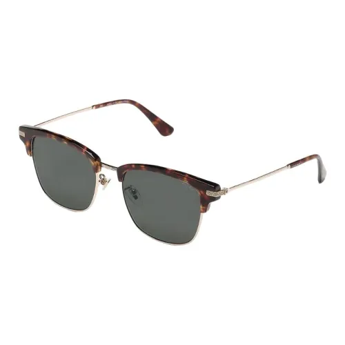 Clarks Browline Sunglasses Men's Tortoiseshell