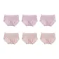 6 Pack (Light Purple 3+Light Pink 3)