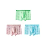 [No-Crotch Lace Style]Mint Green+Sky Blue+Light Pink