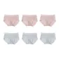 6 Pack (Light Pink 3+Light Blue 3)