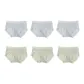 6 Pack (Light Blue 3+Light Green 3)