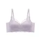 Dream Purple