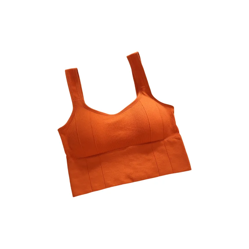 Beerus Women's Bras-8