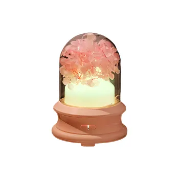 Yunpo Humidifier Creative Accessory