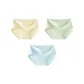 Millet Yellow+Tender Tooth Green+Glacier Blue