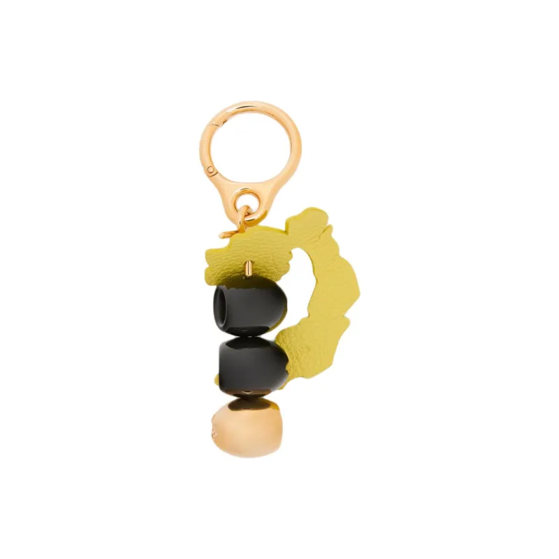 LOEWE Acetate & Brass Bag Accessory Women's Black & Gold-1
