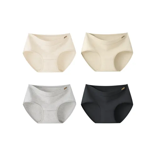 Pretty Lady Underpants Women's 4 Pack