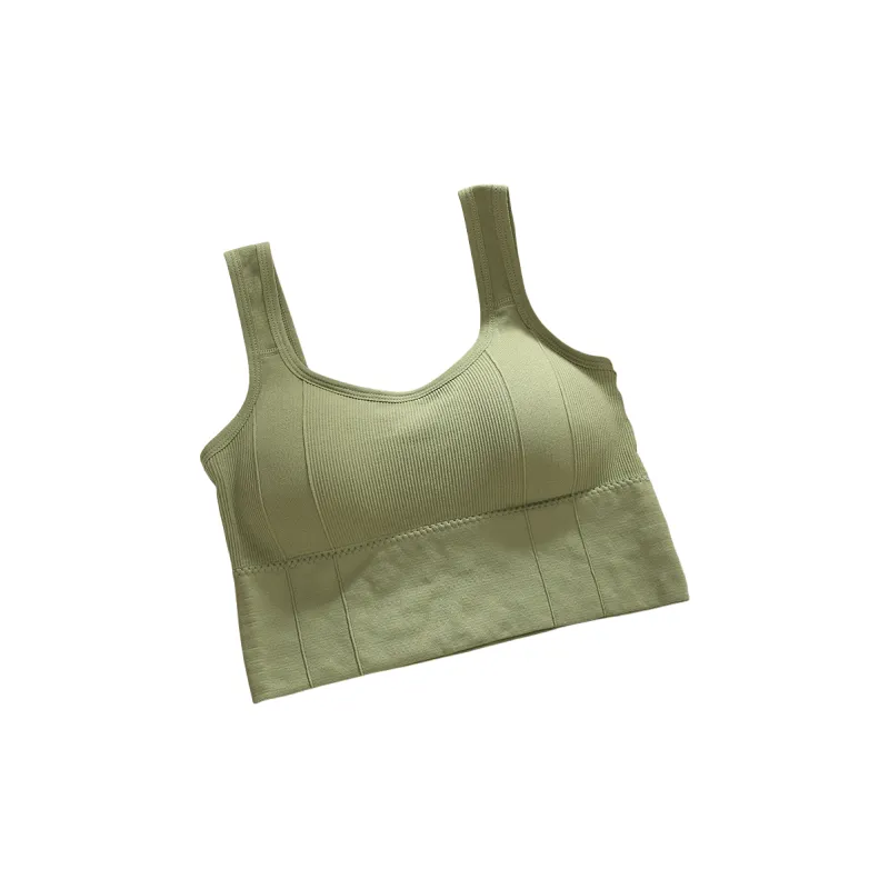 Beerus Women's Bras-4