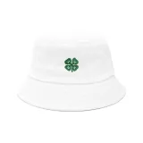 White with Four-Leaf Clover