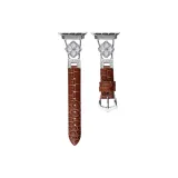 Brown-Silver-Tone Buckle