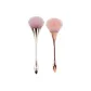 Loose Powder[Champagne Gold]+Blush[Rose Gold][2 Pcs]