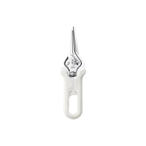 Wang Mazi Stainless Steel Scissors