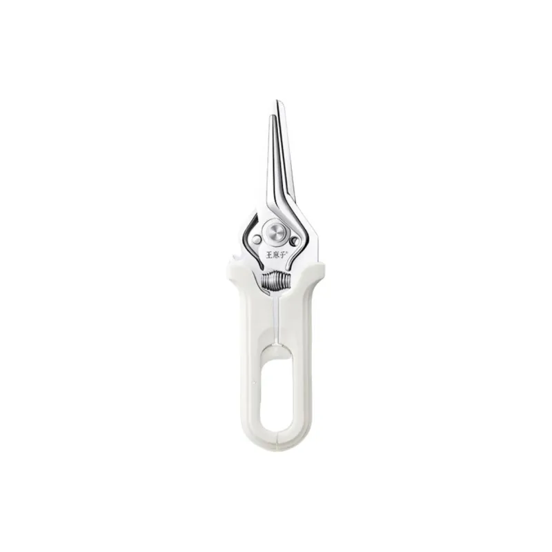 Wang Mazi Stainless Steel Scissors-0