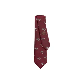 HERMES Ties Men