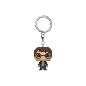 Funko Pop! Harry Potter Harry Potter & Lord Voldemort Fye Exclusive 2 Pack