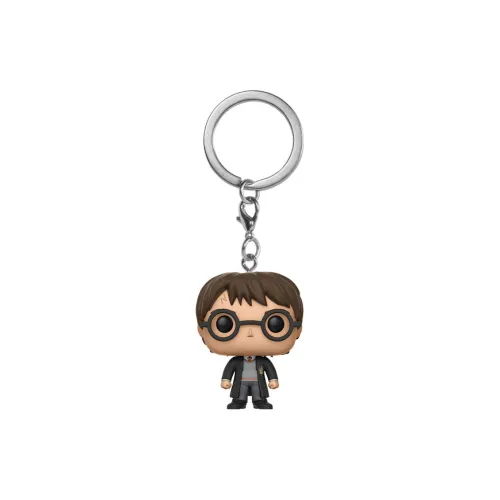 Funko Pop! Harry Potter Harry Potter & Lord Voldemort Fye Exclusive 2 Pack