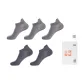 Light Gray 3 Blue Gray 2