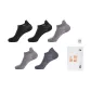 Black 2 Light Gray 2 Blue Gray 1