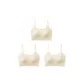 3 Pack-Champagne