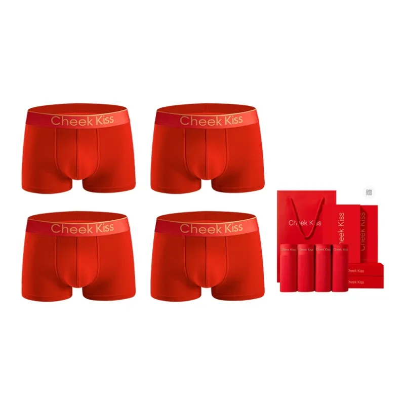 Cheekkiss Underwear Gift Boxes Men's Box 4 Pack-10