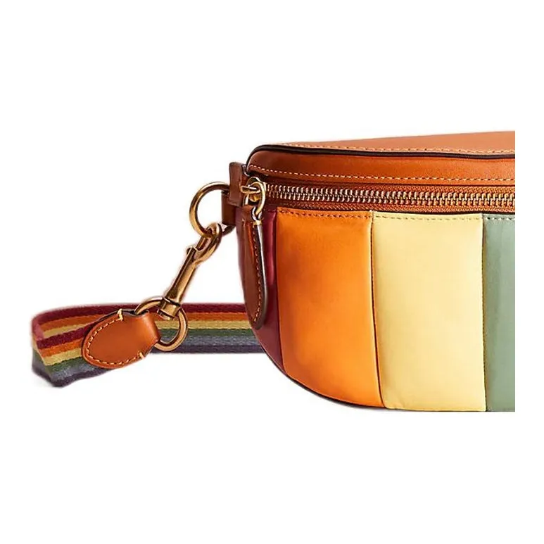 COACH Bethany Leather Sling Bags One Shoulder Crossbody Fanny Pack Small Size Women's Brown & Rainbow-2