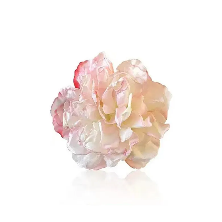 IOTS Hair Clips Unisex-4