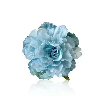 IOTS Hair Clips Unisex