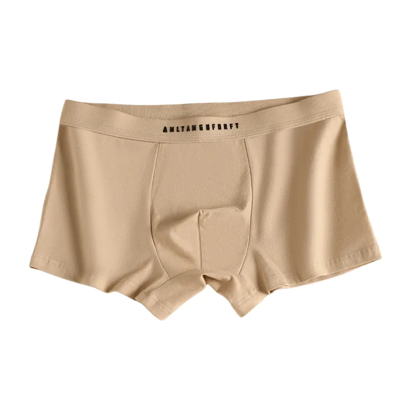 Beerus Boxer Shorts Men's Combo Set-10