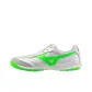 Silver Green