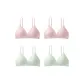 4 Pack Pink 2+Mint Green 2