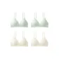 4 Pack Mint Green 2+White 2