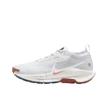 Nike React Pegasus Trail 5 Gore Tex Pure Platinum Football Grey Pink Foam White Women's