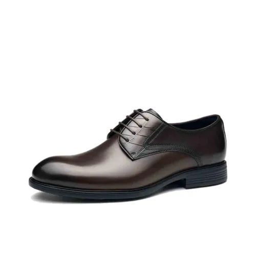 SAINT ANGELO Dress Shoes Men's Dark Coffee