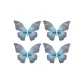 Blue HFS2412087BE