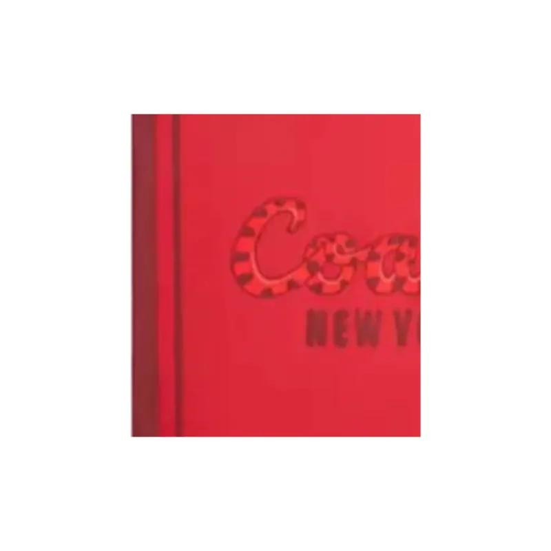COACH Silk Silk Scarves Women's Red-2