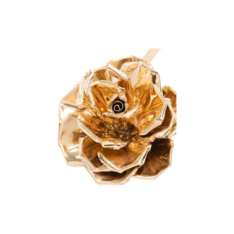 Magda Butrym Sculptural Rose Choker-1