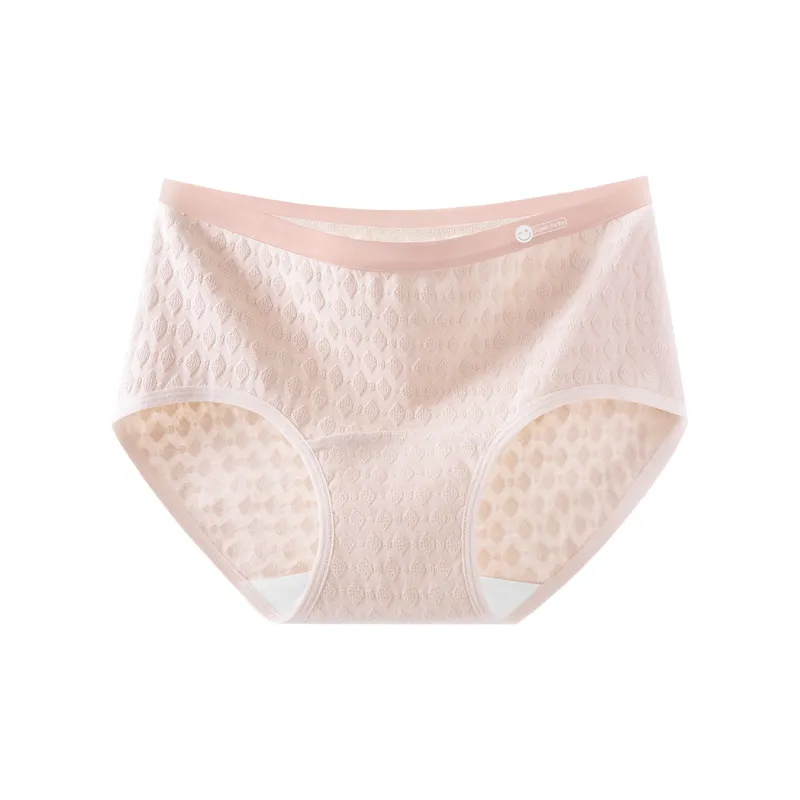 Beerus Underpants Women's 1 Pack-1