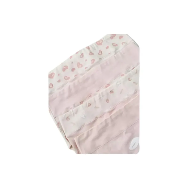 Lanza Underpants Women's 4 Pack-1